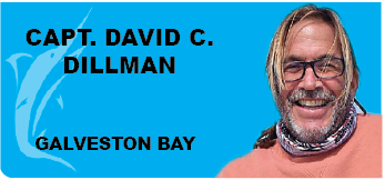 Capt. David C. Dillman